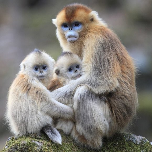 Meet your Posher, Terrelle - Picture 1 of 1